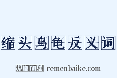 缩头乌龟反义词是什么意思的图片